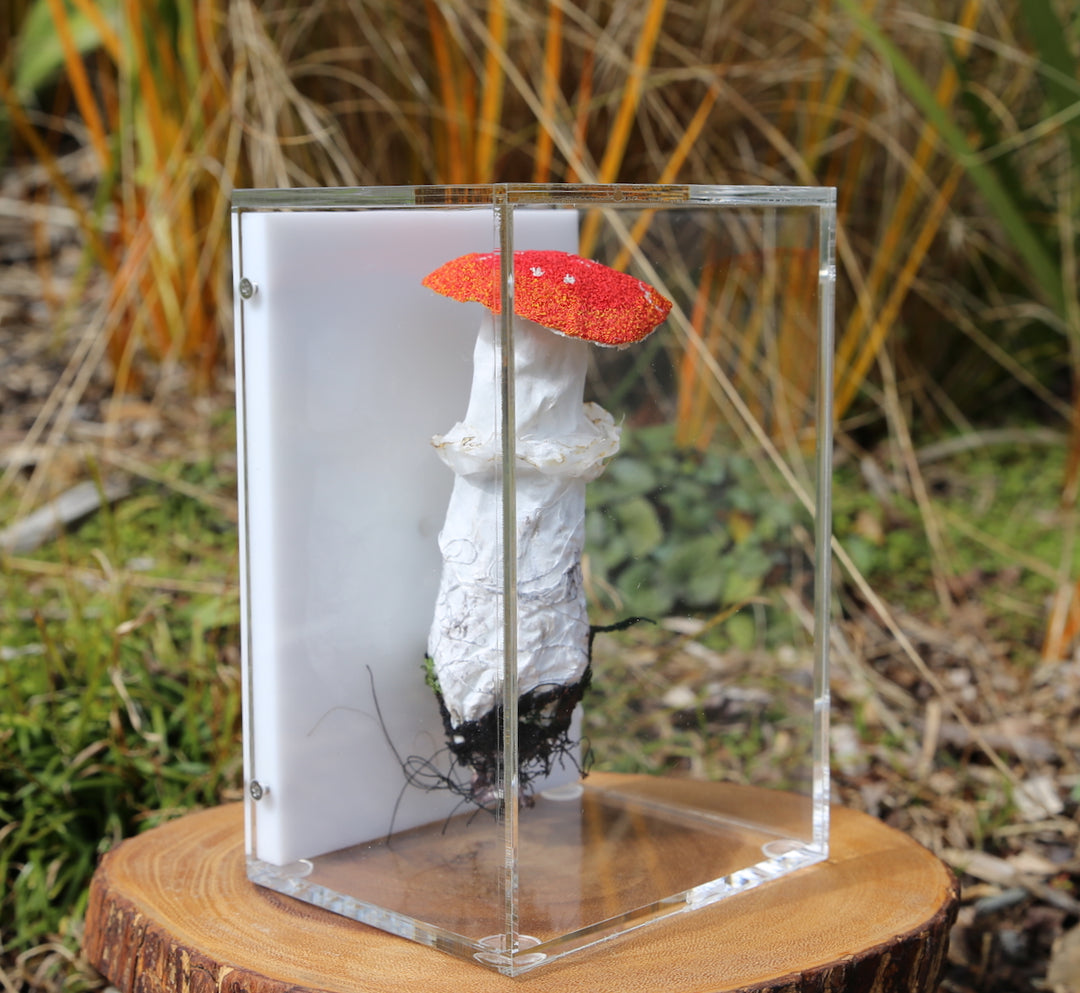 Amanita muscaria fungi 3D Thread Sculpture #2.