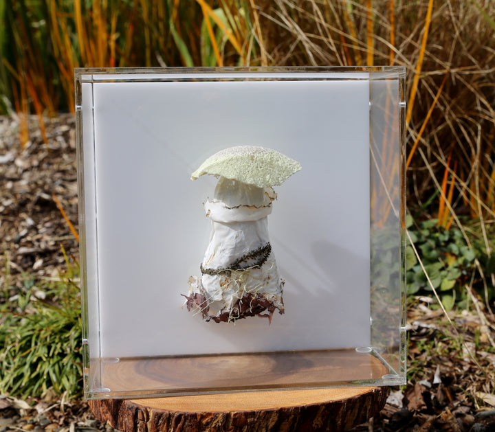 Deathcap Fungi 3D Thread Sculpture #7.