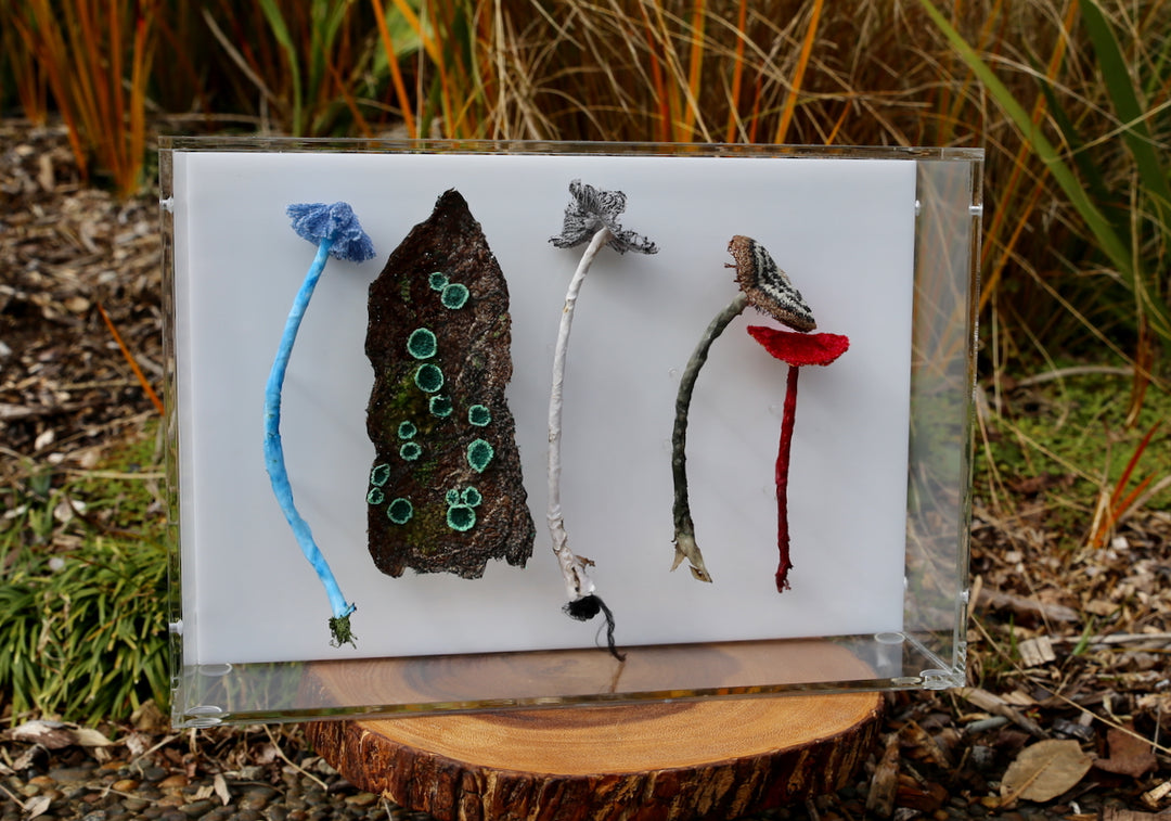 Fungi of New Zealand 3D Thread Sculpture #9.