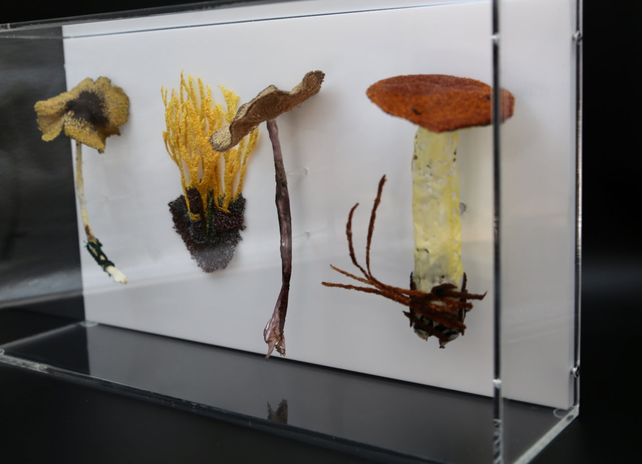 Fungi of New Zealand 3D Thread Sculpture #12.