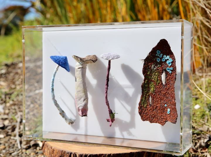 Fungi of New Zealand 3D Thread Sculpture #13.