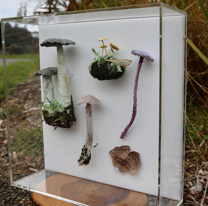 Fungi of New Zealand 3D Thread Sculpture #14.