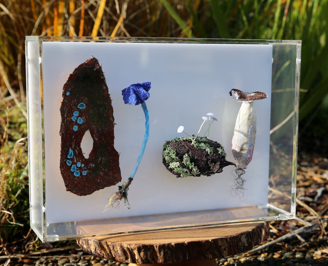 Fungi of New Zealand 3D Thread Sculpture #18.