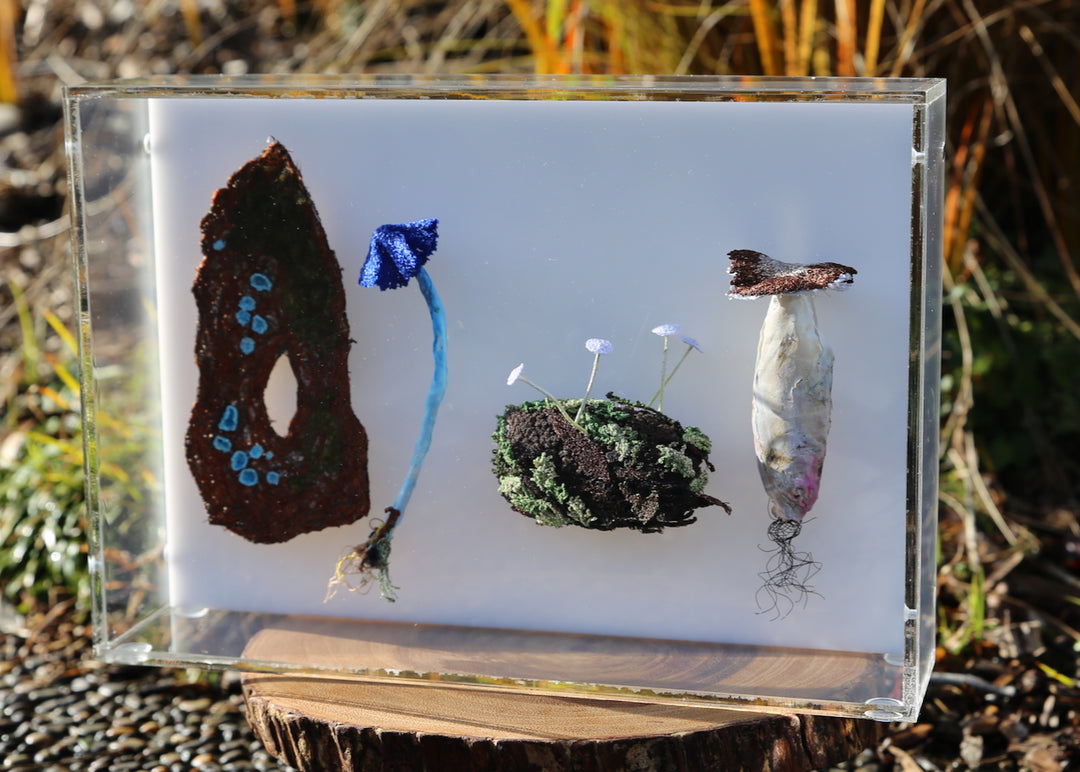 Fungi of New Zealand 3D Thread Sculpture #18.