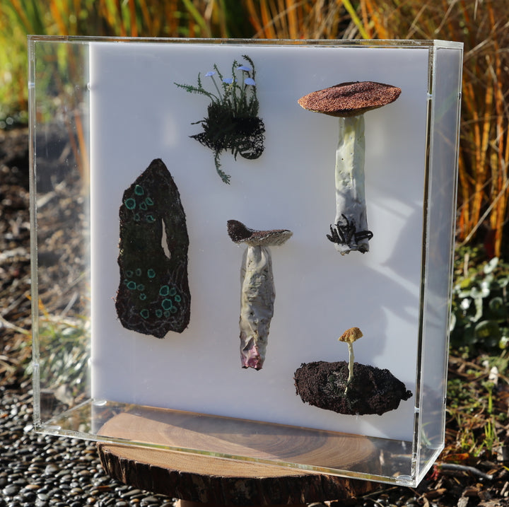 Fungi of New Zealand 3D Thread Sculpture #17.