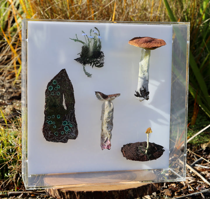 Fungi of New Zealand 3D Thread Sculpture #17.