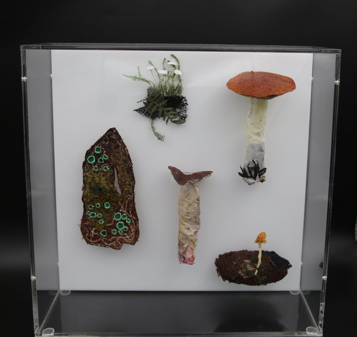 Fungi of New Zealand 3D Thread Sculpture #17.