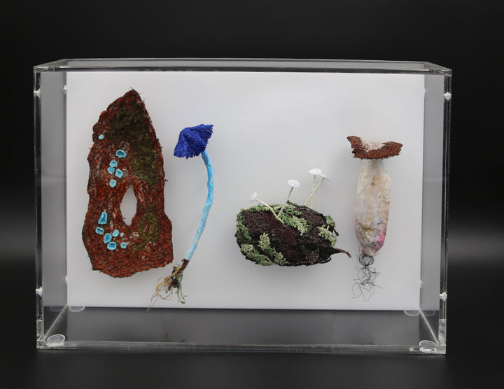 Fungi of New Zealand 3D Thread Sculpture #18.