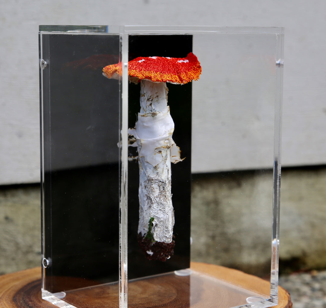 Amanita muscaria fungi 3D Thread Sculpture - Now at Sculptureum.