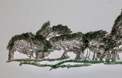 Windswept Kanuka - Slope Point. 3D Thread Sculpture.