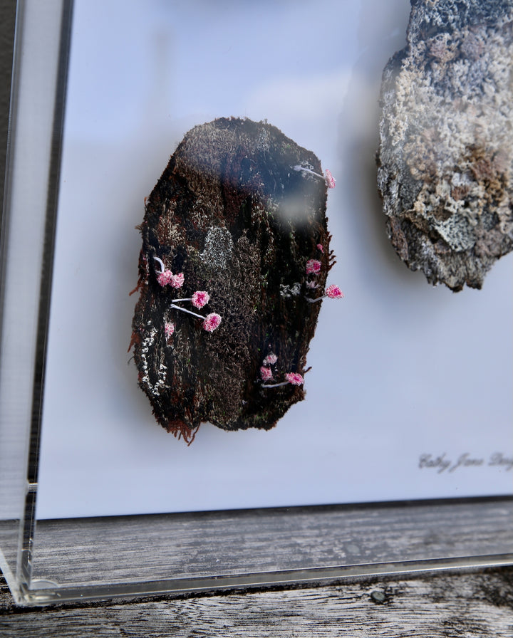 NZ Bark species. 3D Thread Sculpture.