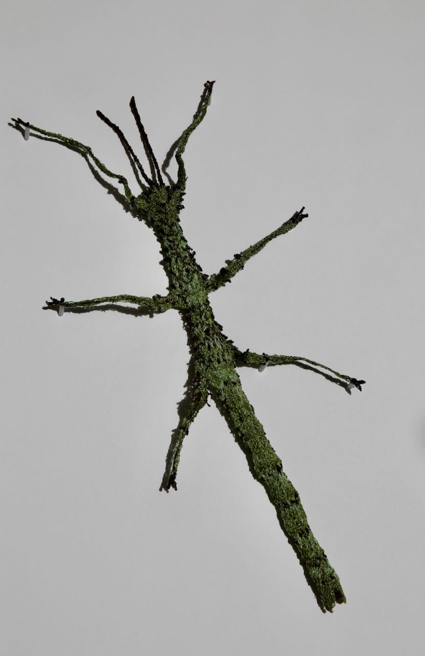 Prickly stick insect 3D Thread Sculpture #2.