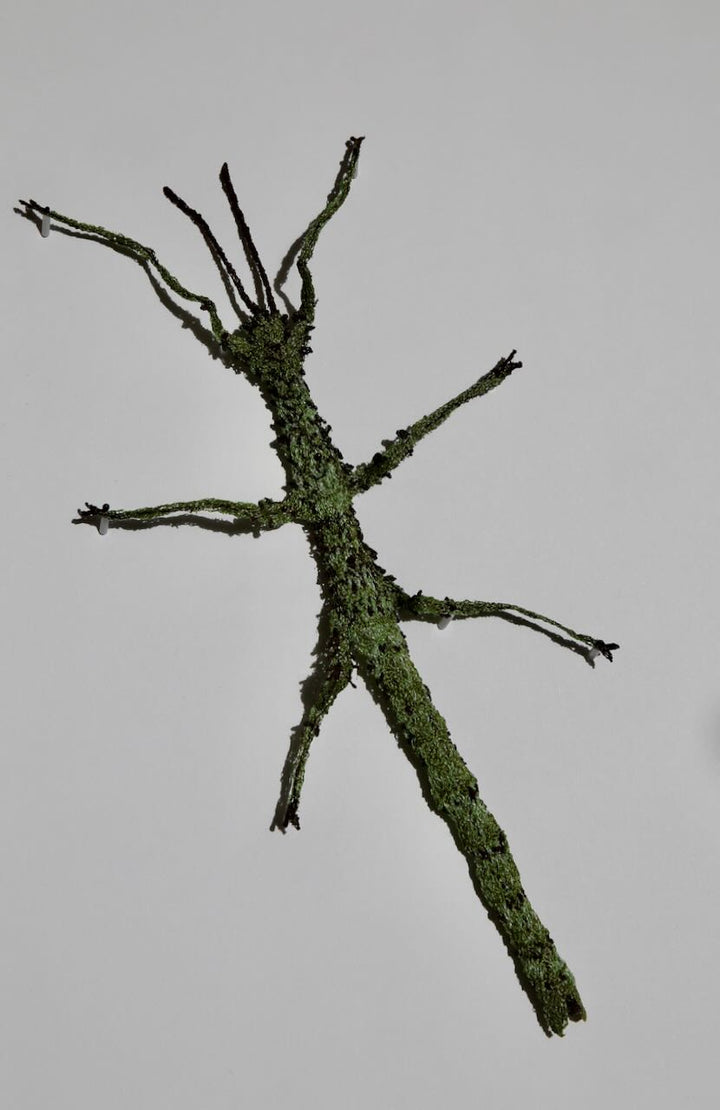 Prickly stick insect 3D Thread Sculpture #2.