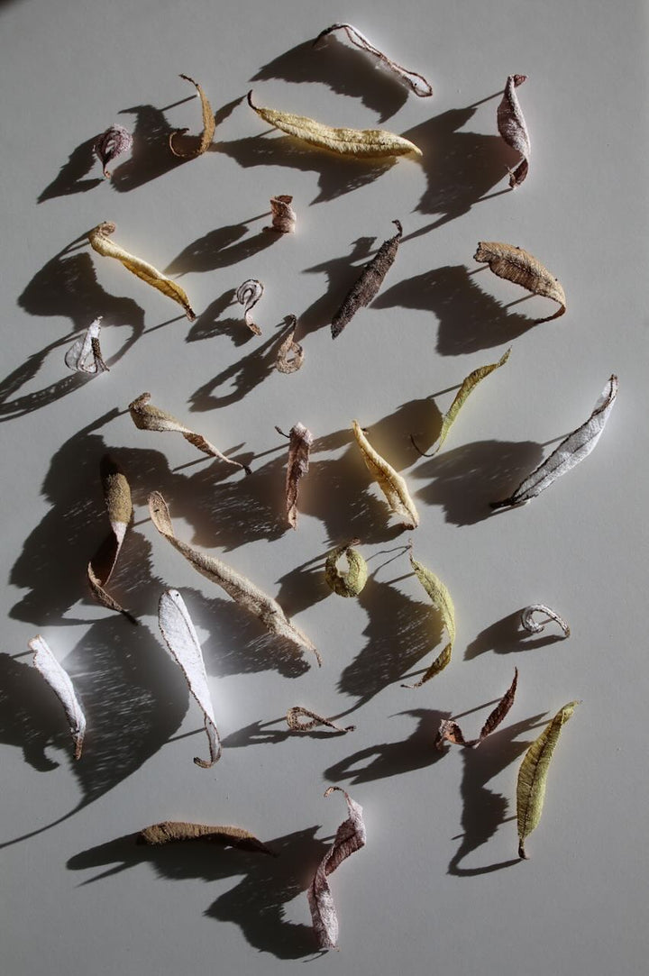 Banksia leaf formations 3D Thread Sculpture.