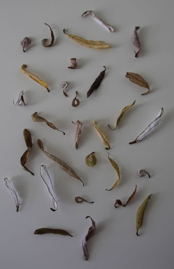 Banksia leaf formations 3D Thread Sculpture.