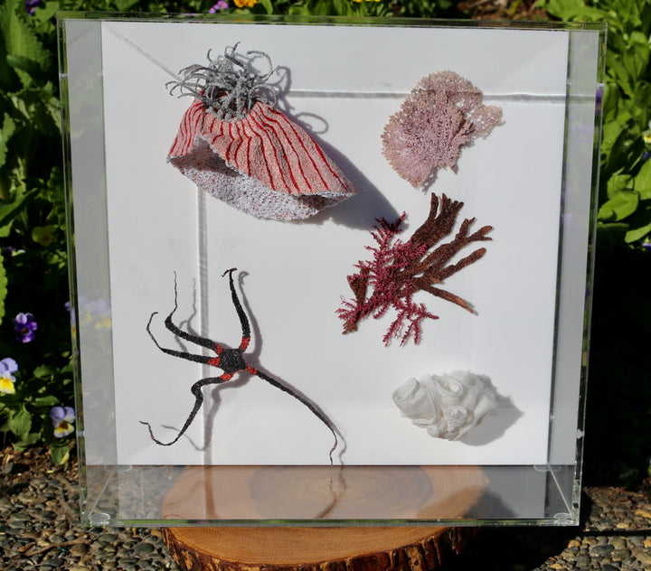 NZ Under the Sea 3d thread sculpture.
