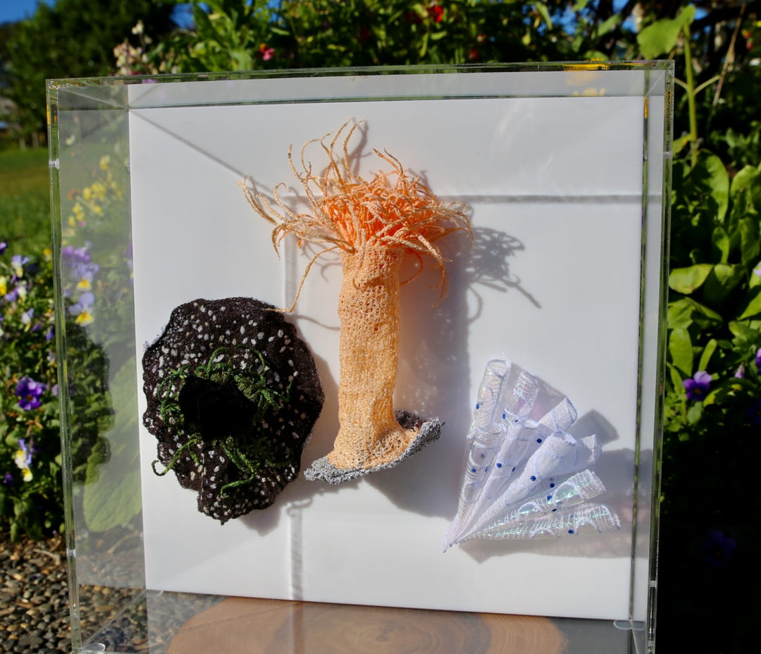 NZ Under the Sea 3d thread sculpture. #2