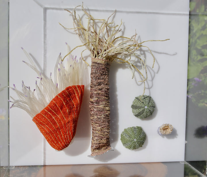 NZ Under the Sea 3d thread sculpture. #3.
