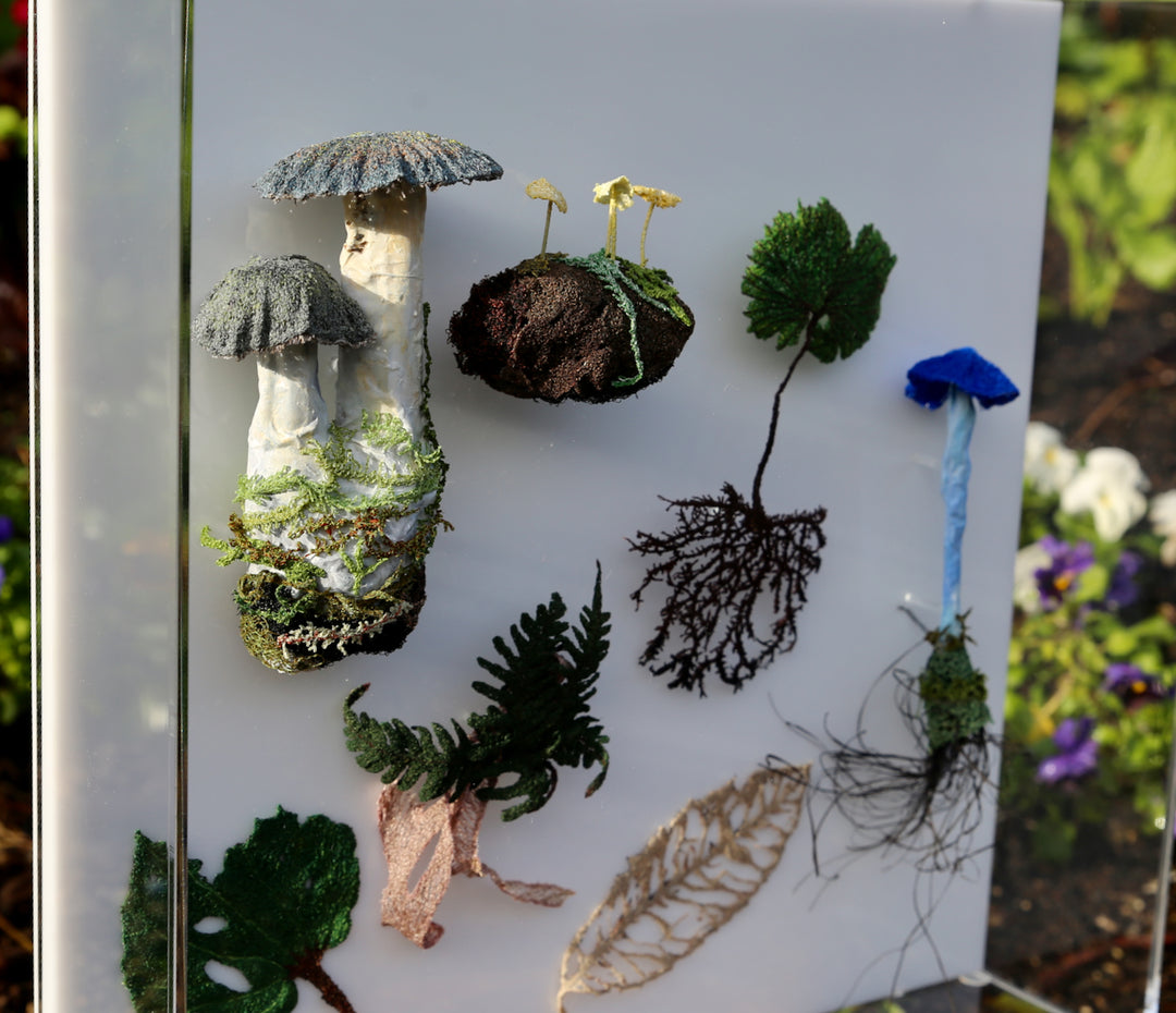 Fungi & ferns of New Zealand 3D Thread Sculpture. (commission)