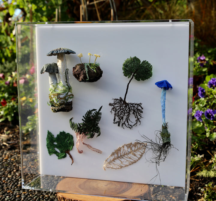 Fungi & ferns of New Zealand 3D Thread Sculpture. (commission)