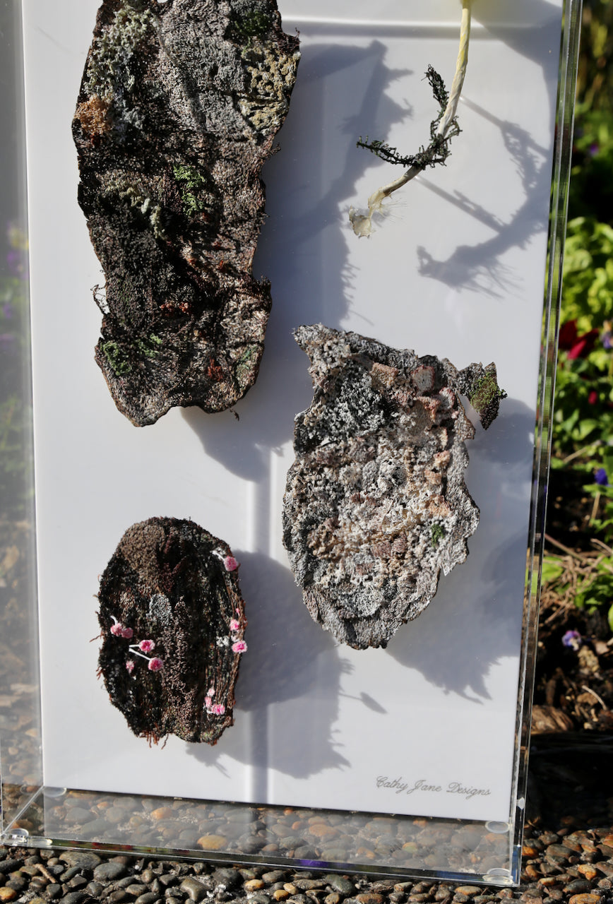 NZ Bark & fungi species. 3D Thread Sculpture.