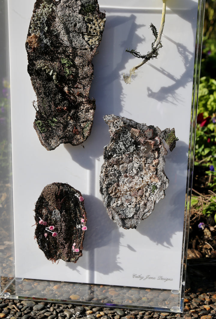 NZ Bark & fungi species. 3D Thread Sculpture.