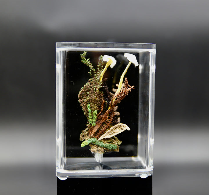 NZ Mycena fungi 3D Thread Sculpture.