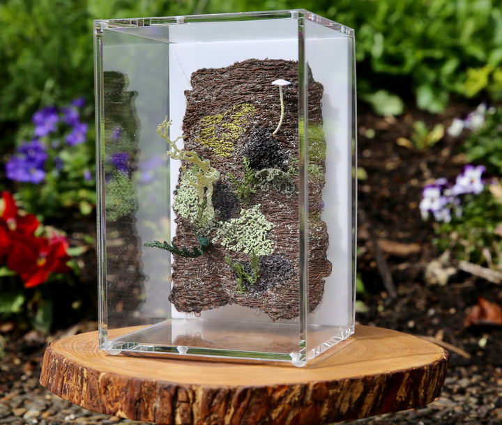 Mycena fungi on bark 3D Thread Sculpture. #3