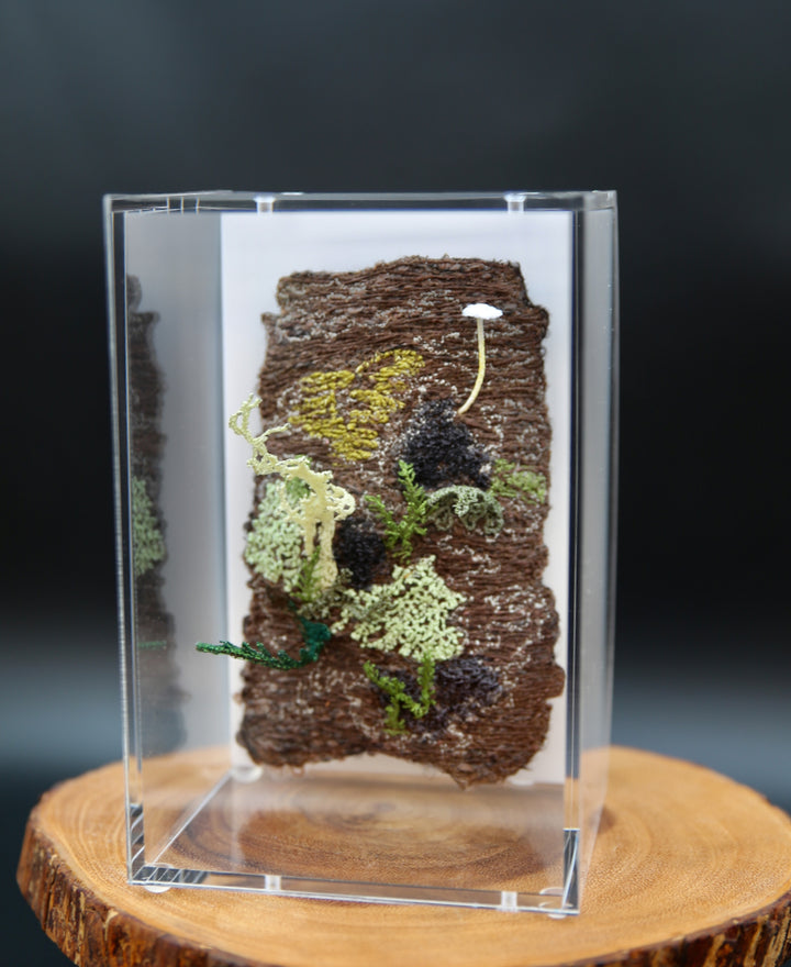 Mycena fungi on bark 3D Thread Sculpture. #3