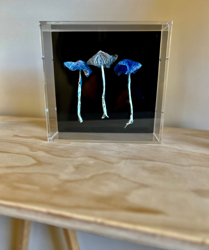 Werewere Kokako Fungi 3D Thread Sculpture #4.