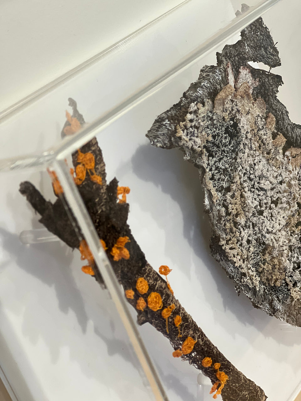 Orange pore fungi and lichen 3D sculptural embroidery.