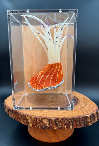 Red-striped sea anemone 3d thread sculpture.