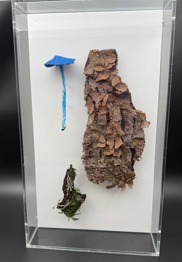 Cabbage tree bark, lichen & fungi 3D Thread Sculpture.