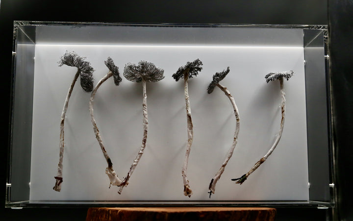 Inkcap Fungi 3D Thread Sculpture #3.