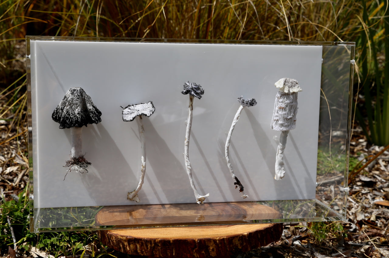 Ink cap Fungi 3D Thread Sculpture #3.