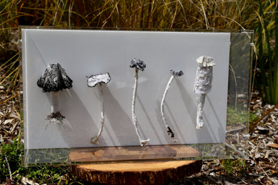 Ink cap Fungi 3D Thread Sculpture #3.