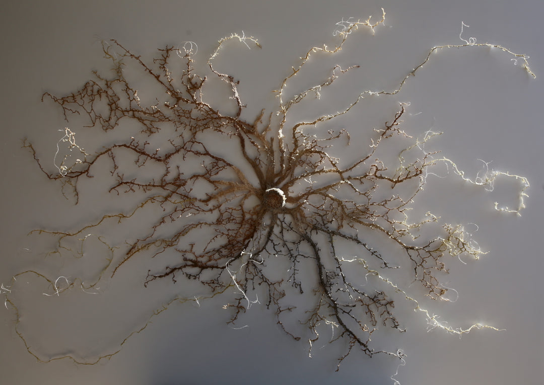 Intertwined Roots. 3D Thread Sculpture. (Finalist for Golden art award).
