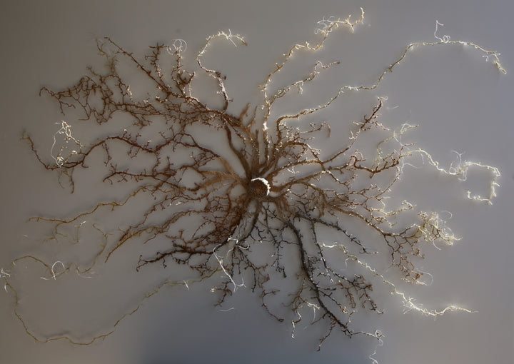 Intertwined Roots. 3D Thread Sculpture. (Finalist for Golden art award).