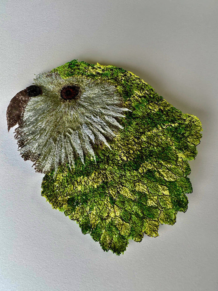 Kakapo 3D Thread Sculpture.