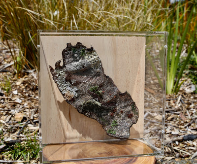 Kauri bark 3D Thread Sculpture.