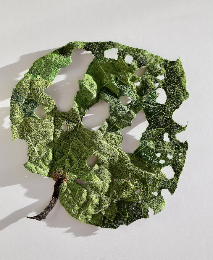 Giant Kawakawa Leaf 3D Thread Sculpture #7.