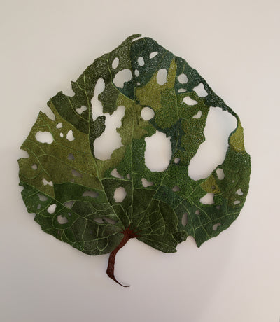 Giant Kawakawa Leaf 3D Thread Sculpture #8.
