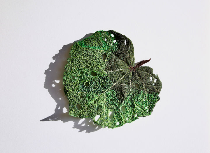 Kawakawa Leaf 3D Thread Sculpture #6 (commission).