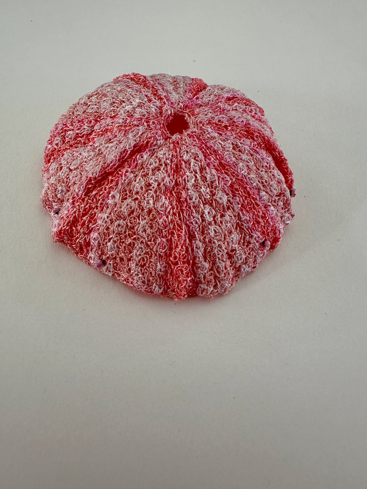 Kina Shell 3D Thread Sculpture #5.