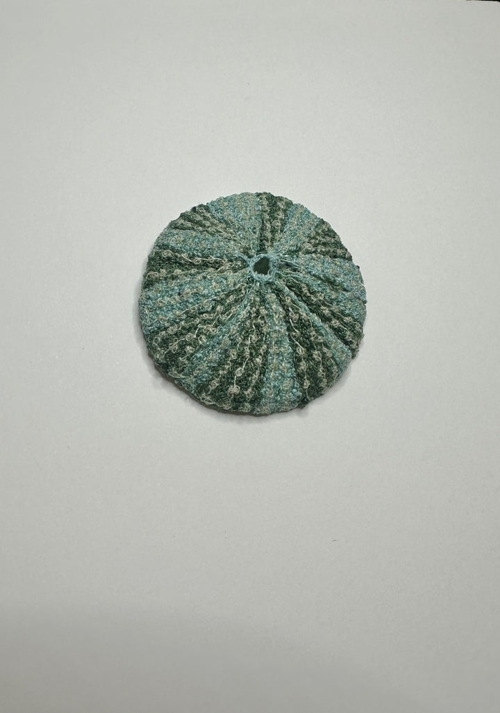 Kina Shell (green/blue shades) 3D Thread Sculpture.