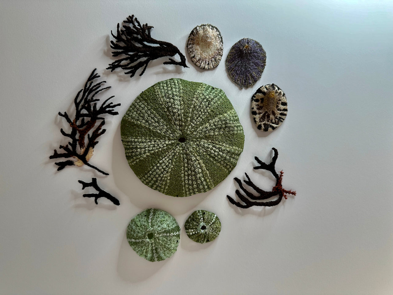 Kina, limpets and seaweed sculptural embroidery