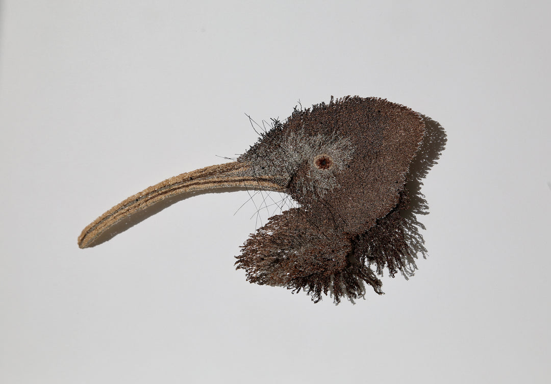 Brown Kiwi 3D Thread Sculpture.