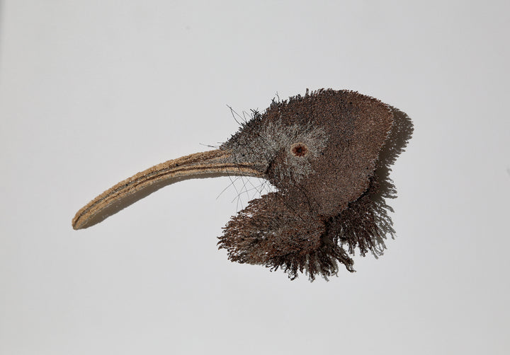 Brown Kiwi 3D Thread Sculpture.