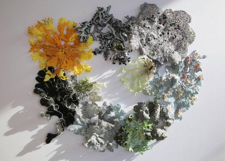 Lavish landscape of lichens.  3D Thread Sculpture.