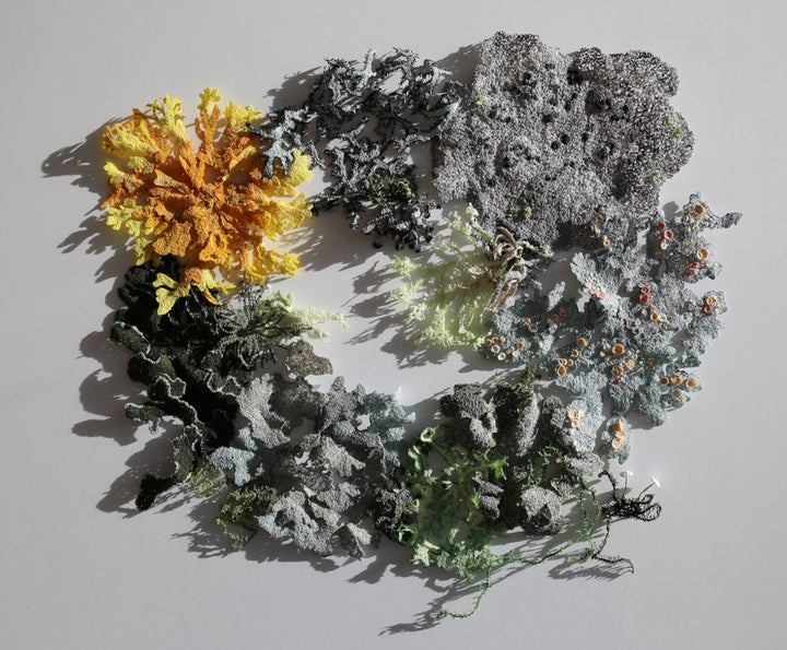 Lavish landscape of lichens.  3D Thread Sculpture.